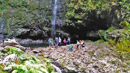 Full-day hiking tour from Queimadas to Caldeirão Verde